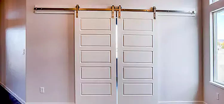 Glass Barn Door with Installation Hardware Kit Erlanger