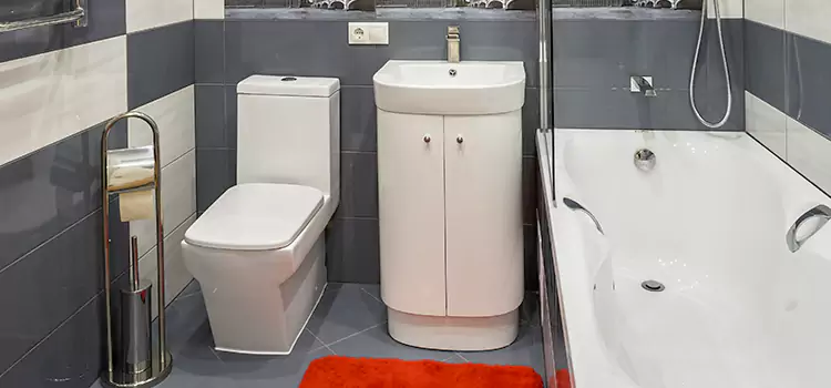 Hansgrohe Shaving Mirror Erlanger
