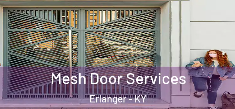 Mesh Door Services Erlanger - KY