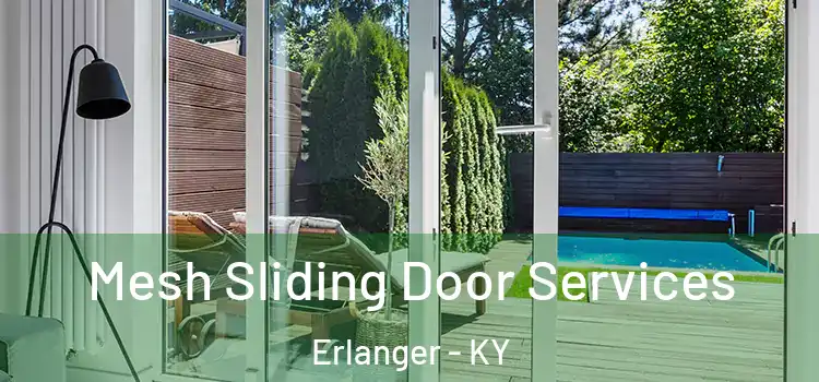 Mesh Sliding Door Services Erlanger - KY