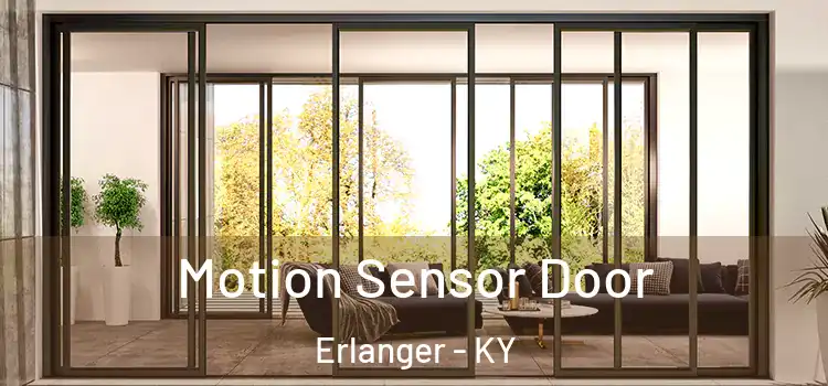 Motion Sensor Door Erlanger - KY